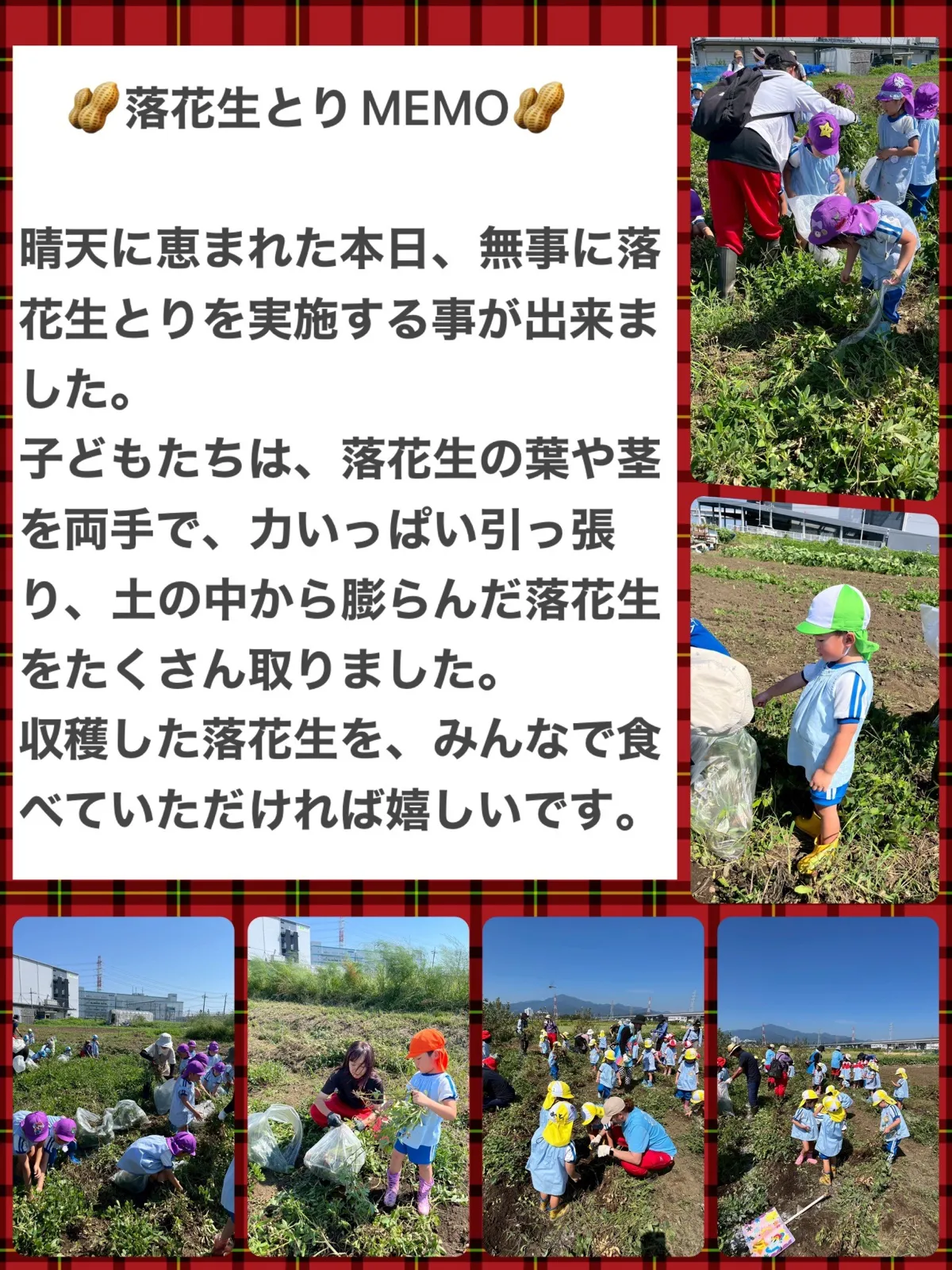 落花生.jpg