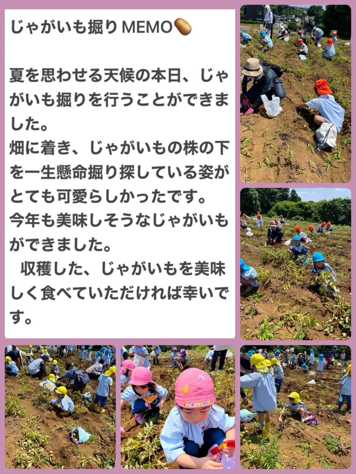 じゃがいも.jpg
